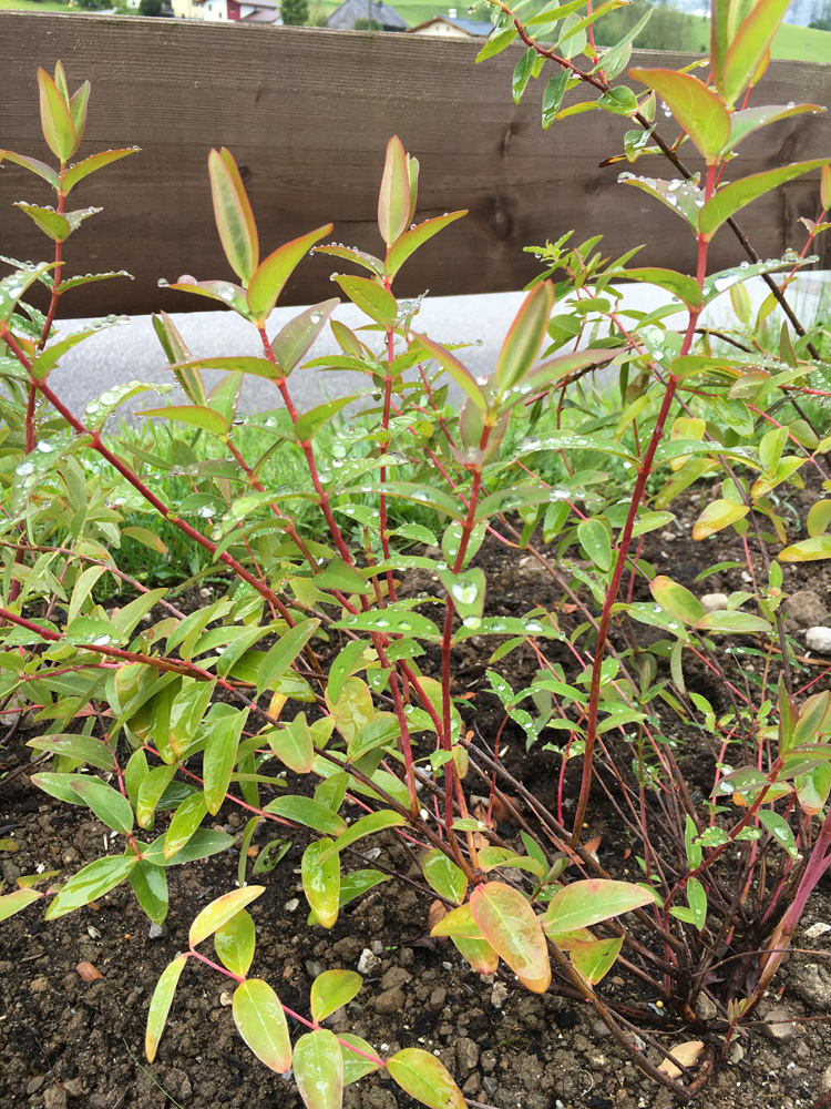 Salzburgerland Campingplatz